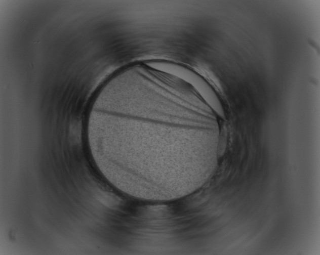 X0000093150108200710171359