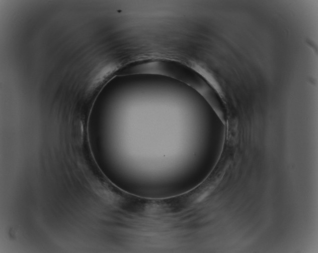 X0000093150109200710171359