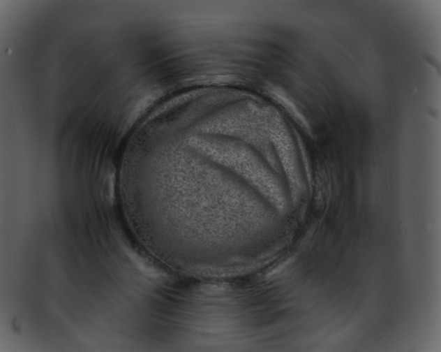 X0000093150110200710171359