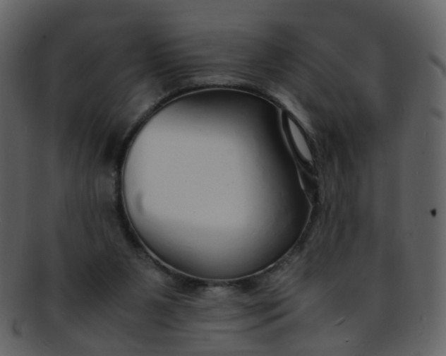 X0000093150111200710171359