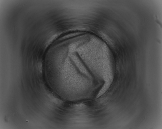 X0000093150112200710171359