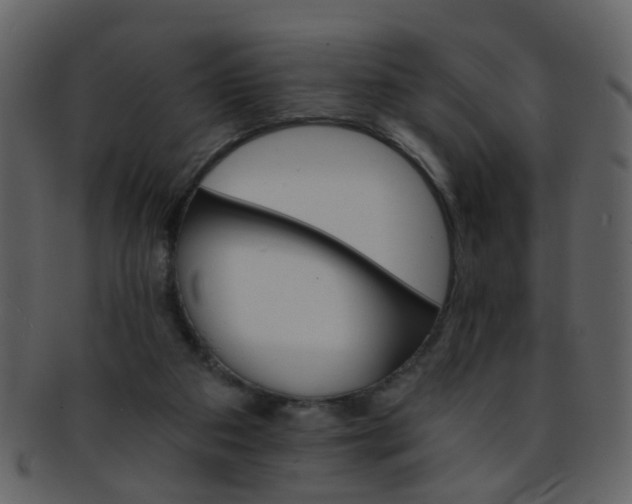 X0000093150113200710171359