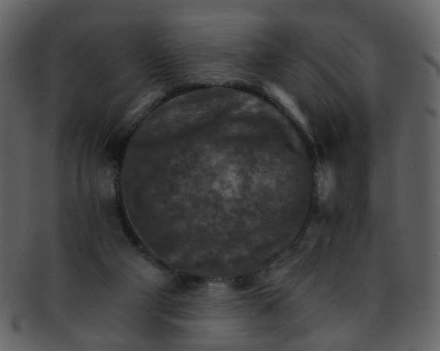 X0000093150114200710171359