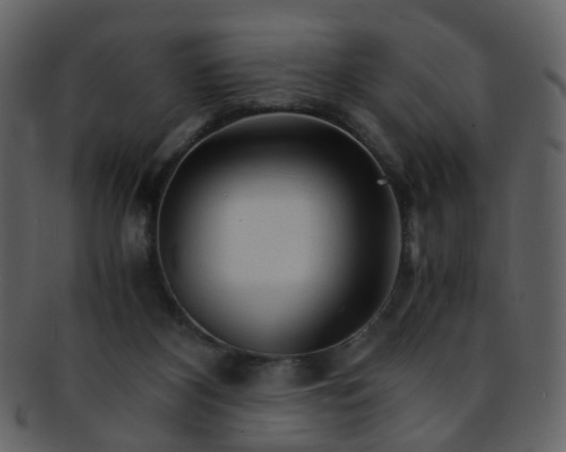 X0000093150116200710171359