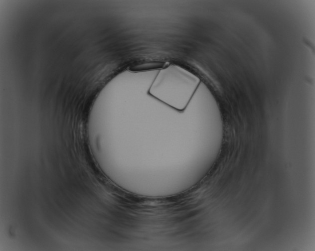 X0000093150117200710171359