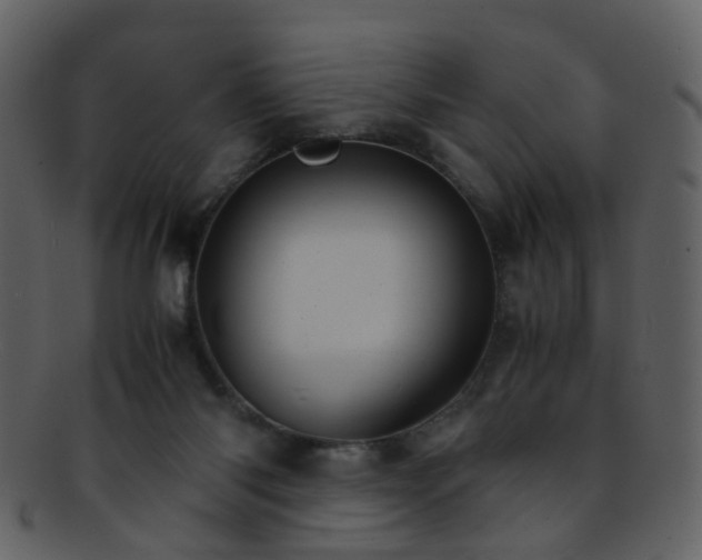 X0000093150118200710171359