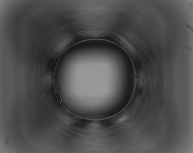 X0000093150119200710171359