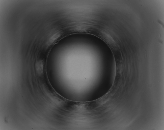 X0000093150120200710171359