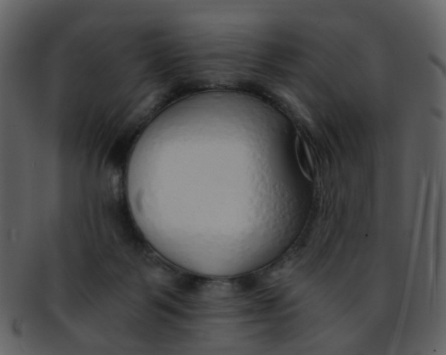 X0000093150123200710171359