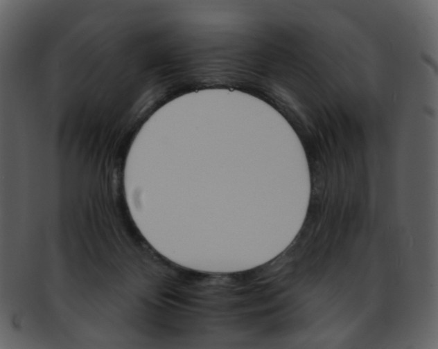 X0000093150124200710171359