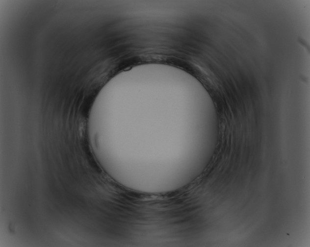 X0000093150125200710171359