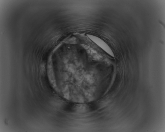 X0000093150127200710171359