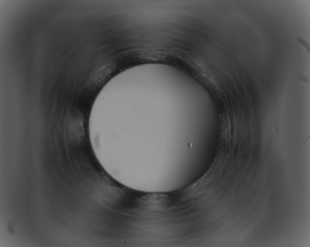 X0000093150128200710171359