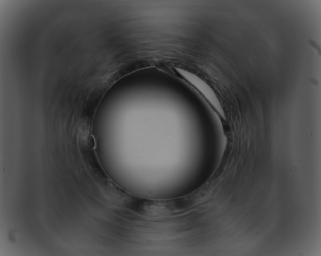 X0000093150129200710171359