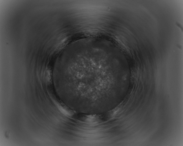 X0000093150130200710171359