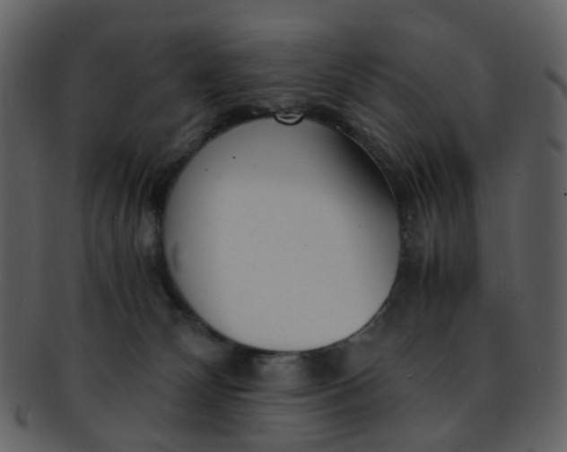 X0000093150132200710171358