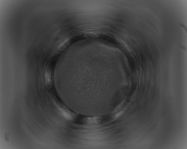 X0000093150134200710171358