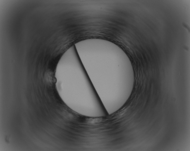 X0000093150135200710171358