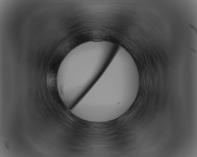 X0000093150137200710171358