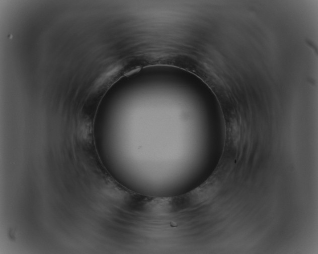 X0000093150138200710171358