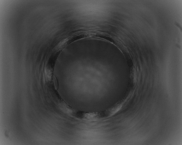 X0000093150139200710171358