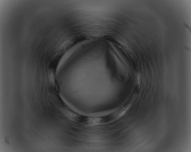 X0000093150143200710171358