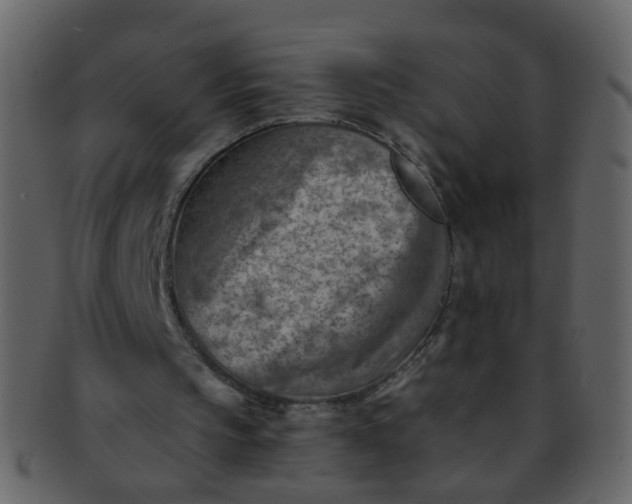 X0000093150145200710171358