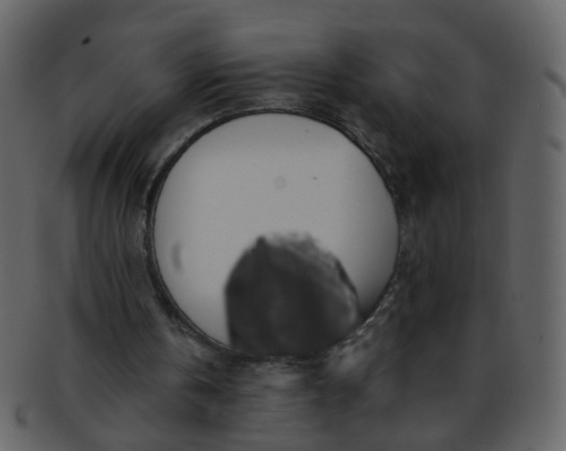 X0000093150146200710171358