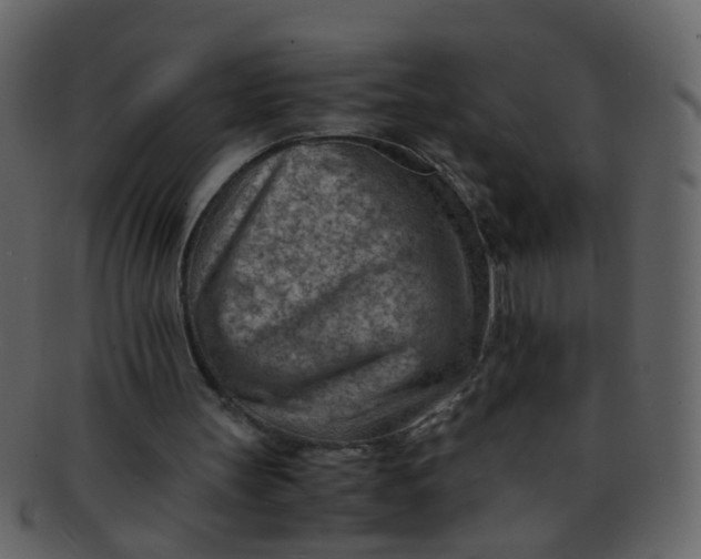 X0000093150147200710171358