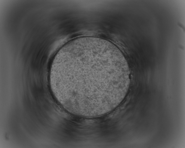 X0000093150149200710171358