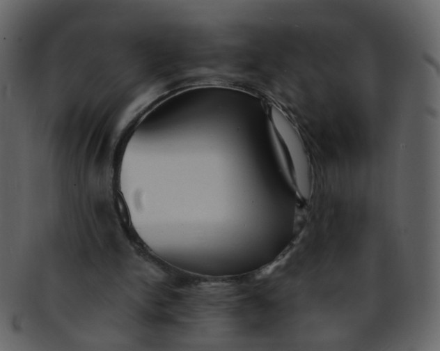 X0000093150150200710171358