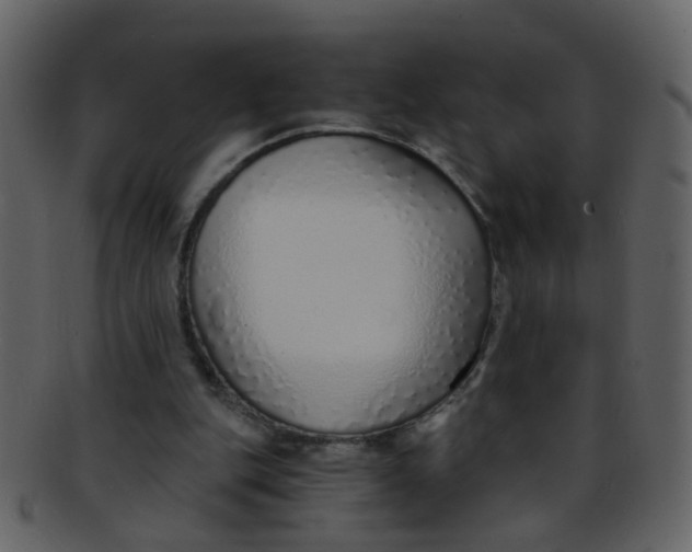 X0000093150151200710171358