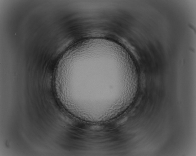 X0000093150153200710171358