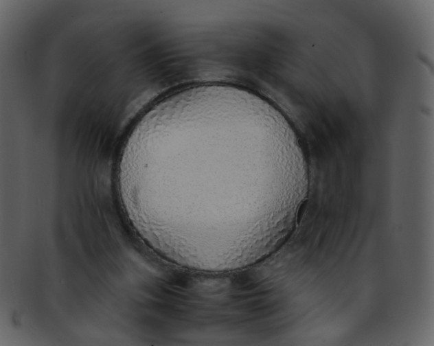 X0000093150155200710171358