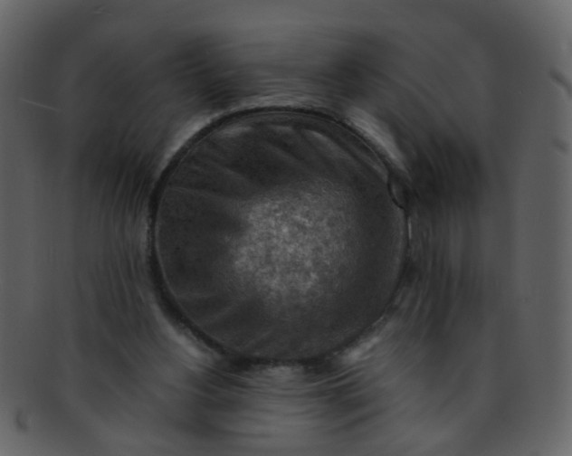 X0000093150156200710171358