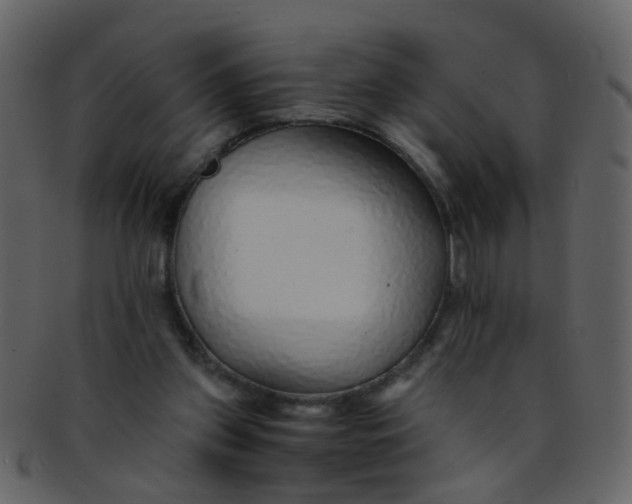 X0000093150157200710171358