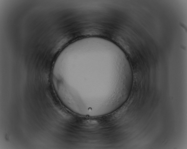 X0000093150159200710171358