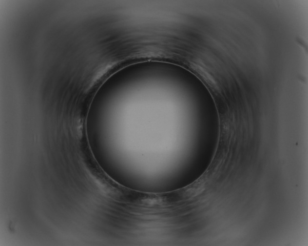 X0000093150160200710171358