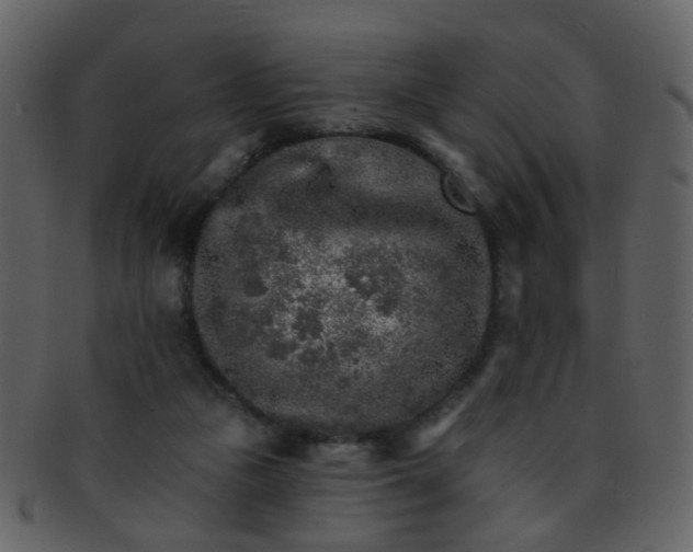 X0000093150161200710171358