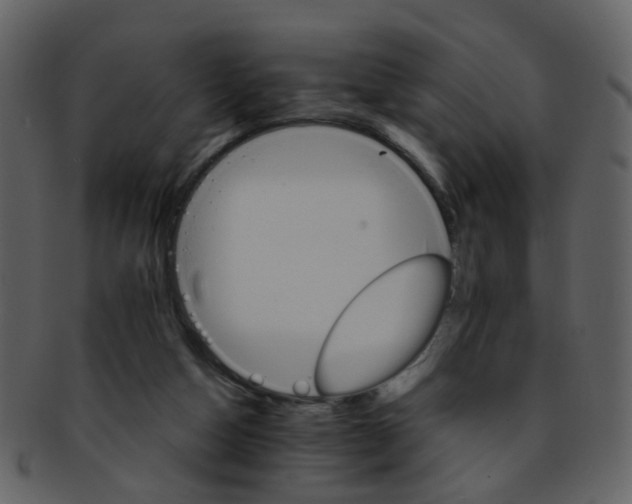 X0000093150162200710171358