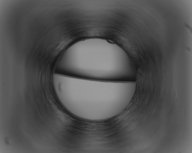 X0000093150164200710171358