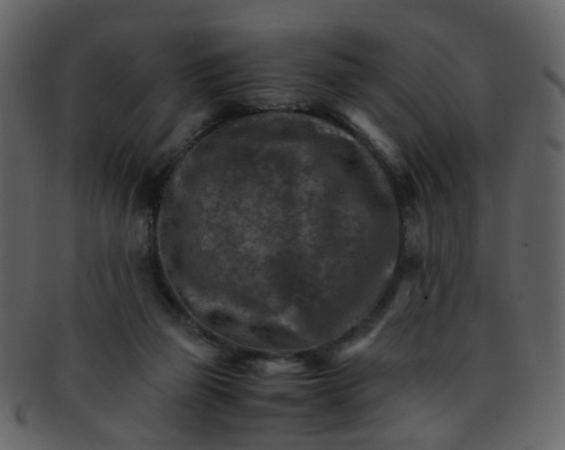 X0000093150165200710171358