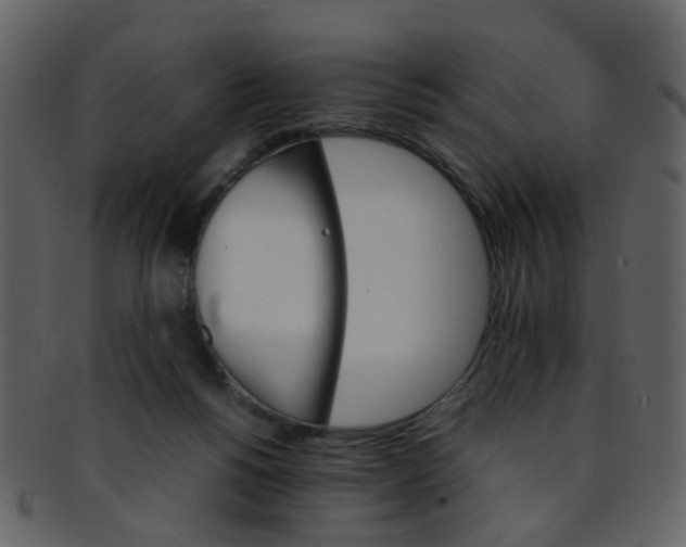 X0000093150168200710171358