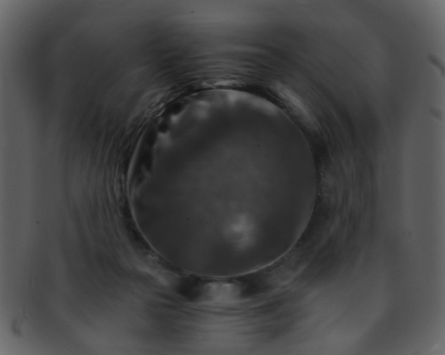 X0000093150169200710171358