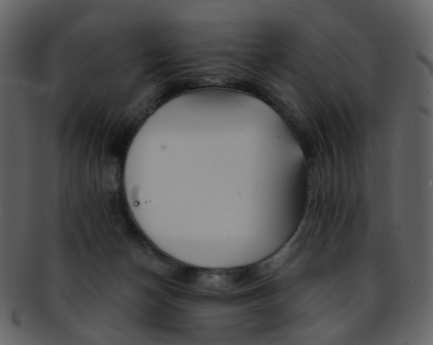 X0000093150174200710171358