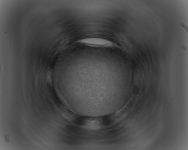 X0000093150175200710171358