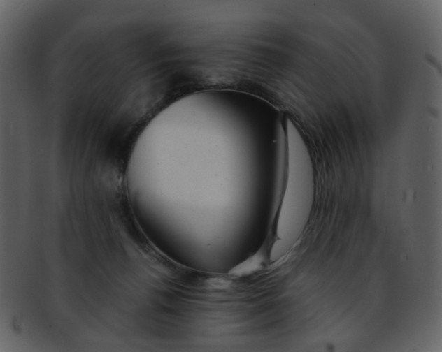 X0000093150176200710171358