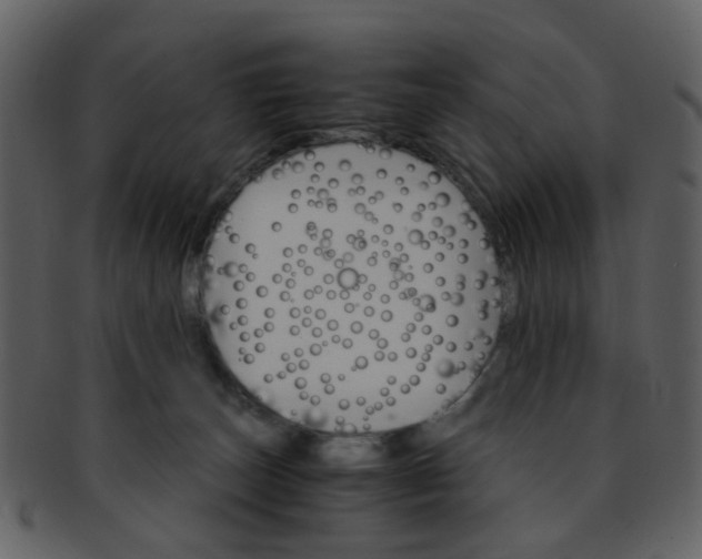 X0000093150179200710171358