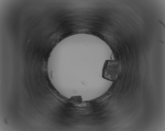 X0000093150181200710171358