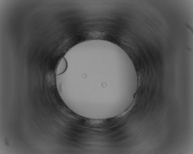 X0000093150182200710171358